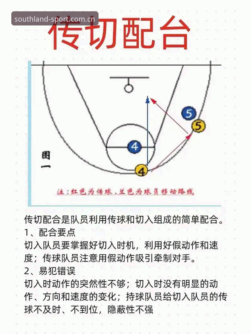 揭秘江南体育专业服务：2026新版背后的真相，老玩家才知道的实战技巧